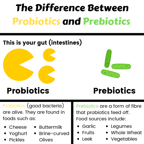 A visual explaining the difference between probiotics and prebiotics and the different foods related to both. 