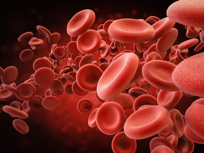 Vitamin B12 has an important role in the production of red blood cells