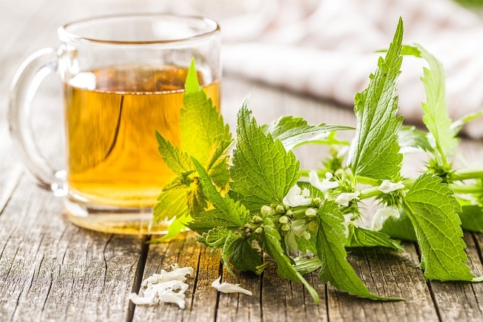 Nettle contains a natural antihistamine which can help in the treatment of certain allergic reactions