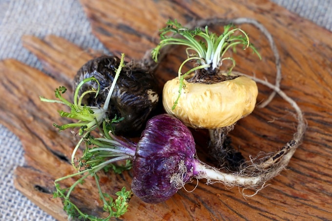 The roots of the maca plant come in a variety of colours, red, black, and yellow, and they each have slightly varying properties.